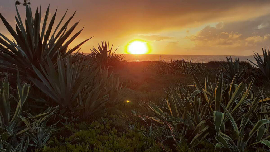 puesta del sol peninsula de sinis cerdeña, notas naturaleas