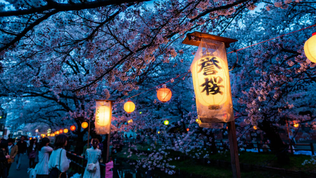 festival de hanami por la noche