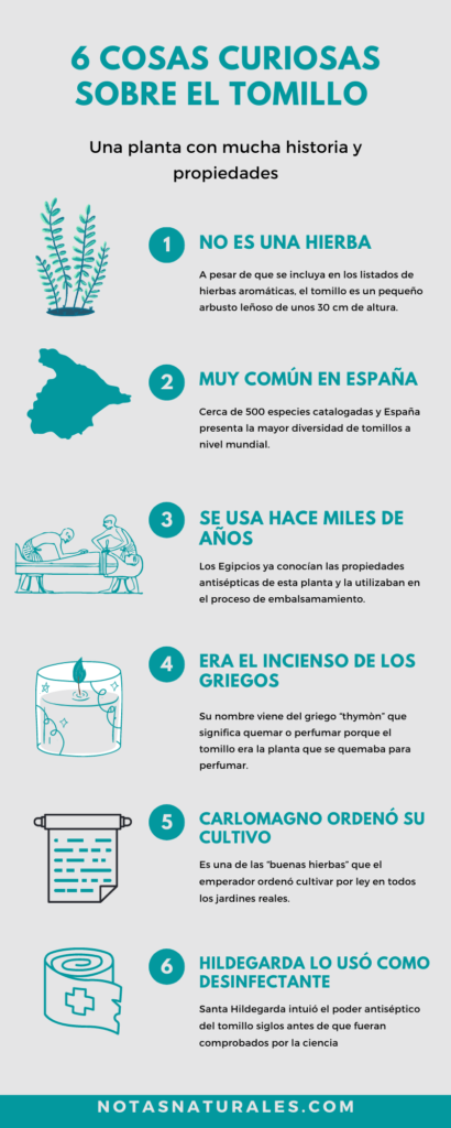 informacion sobre el tomillo infografia