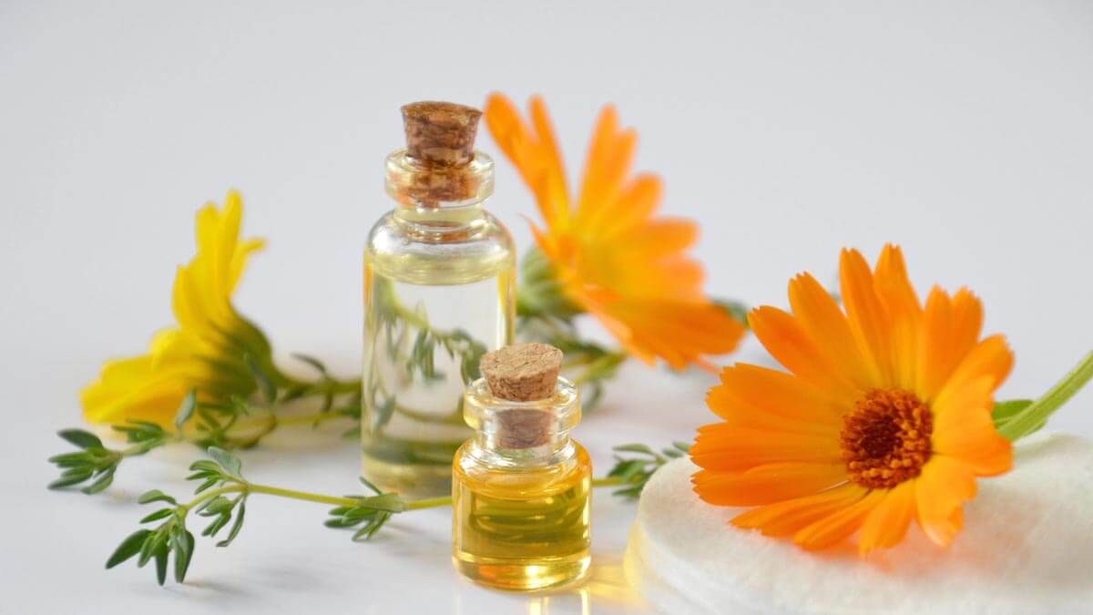Los aceites esenciales son compuestos aromáticos volátiles de las plantas