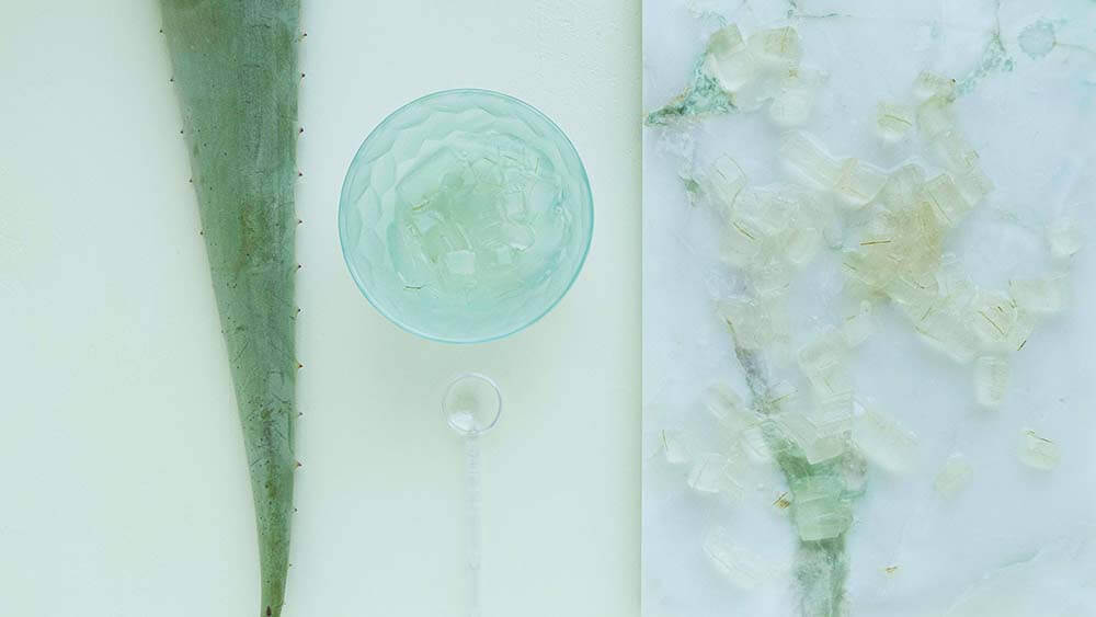 pulpa de aloe vera para la cara